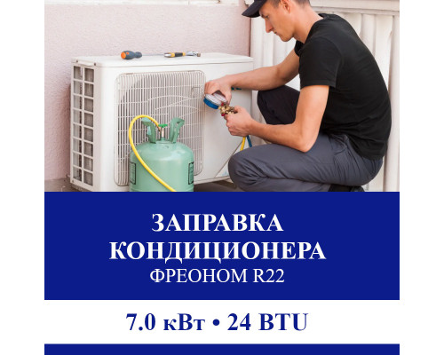 Заправка кондиционера Suzuki фреоном R22 до 7.0 кВт (24 BTU)